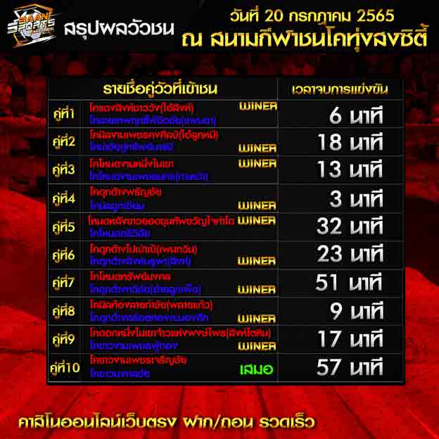 ผลวัวชน