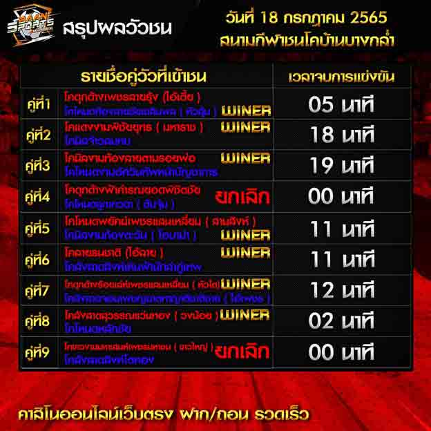 ผลวัวชน