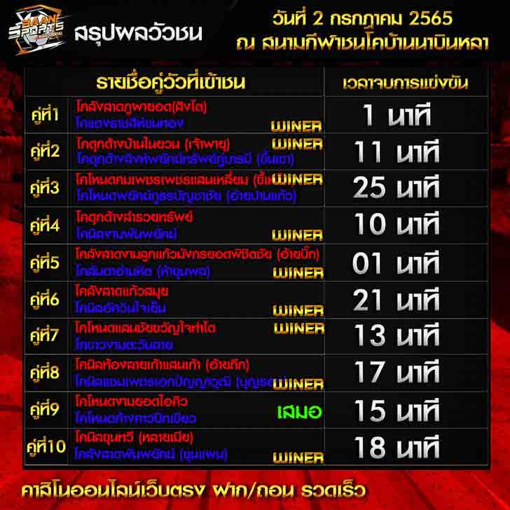 สรุปผลวัวชน