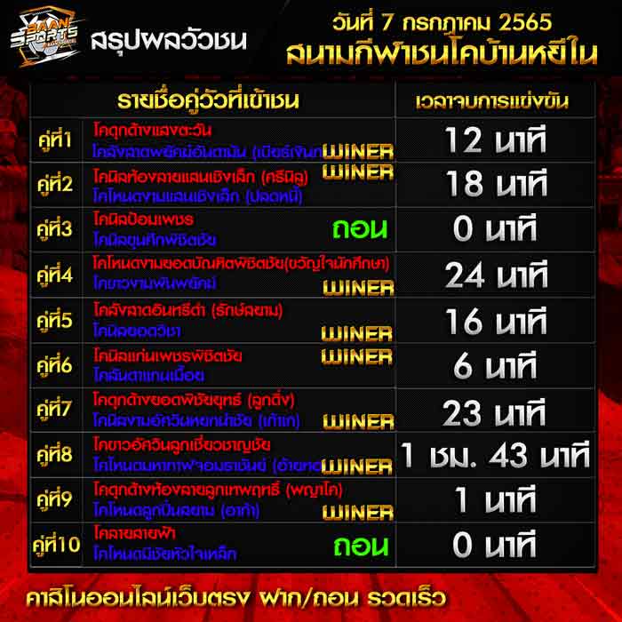 ผลวัวชน