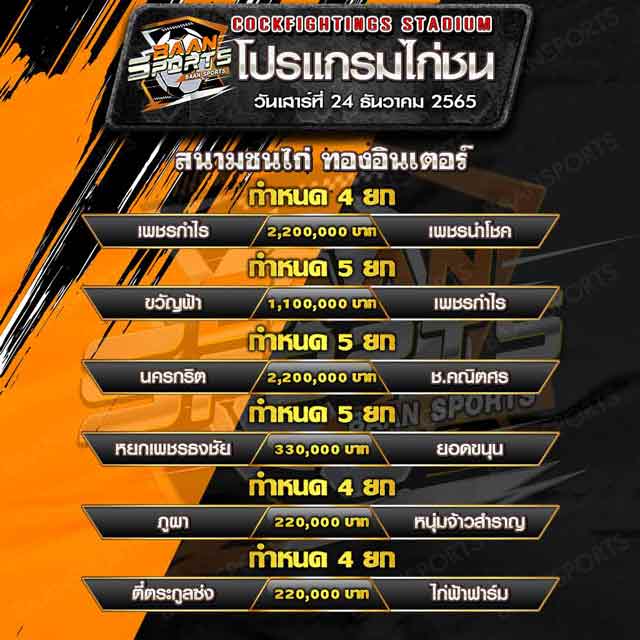 โปรแกรมไก่ชน