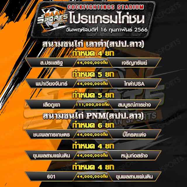 โปรแกรมไก่ชน