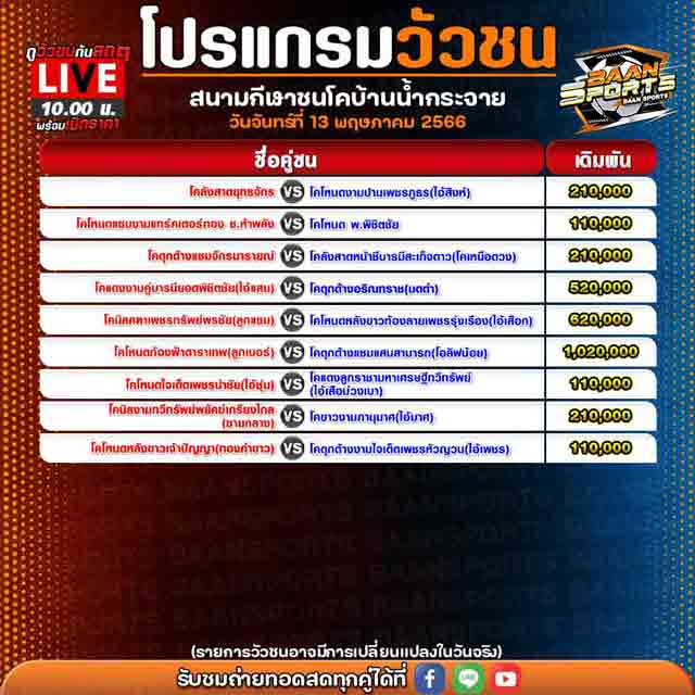 โปรแกรมวัวชน