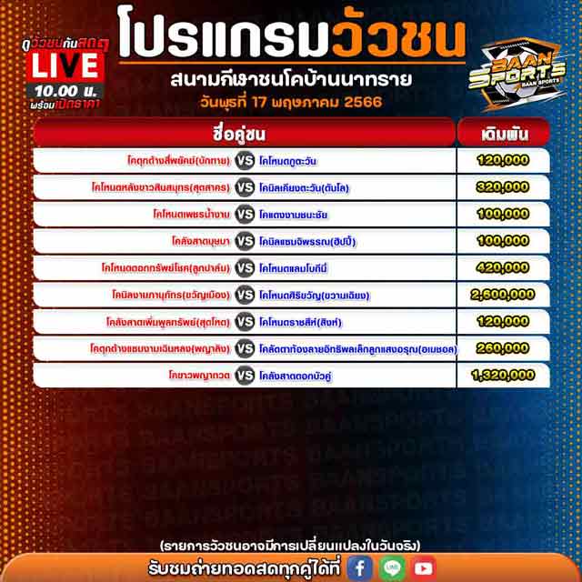 โปรแกรมวัวชน