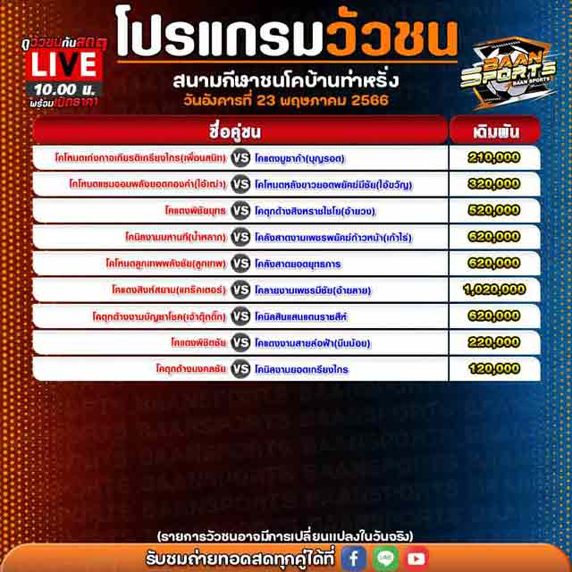 โปรแกรมวัวชน