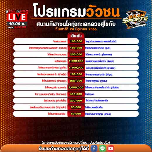 โปรแกรมวัวชน