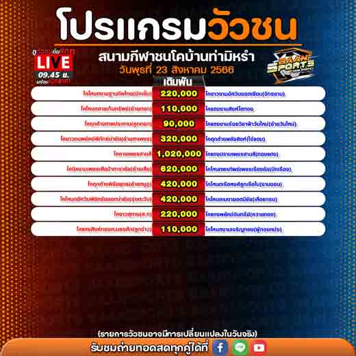 โปรแกรมวัวชน