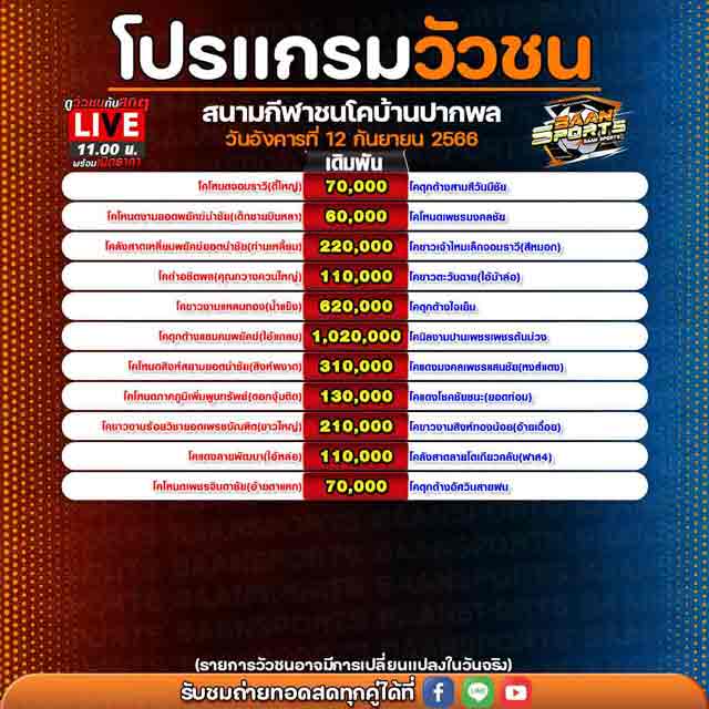 โปรแกรมวัวชน