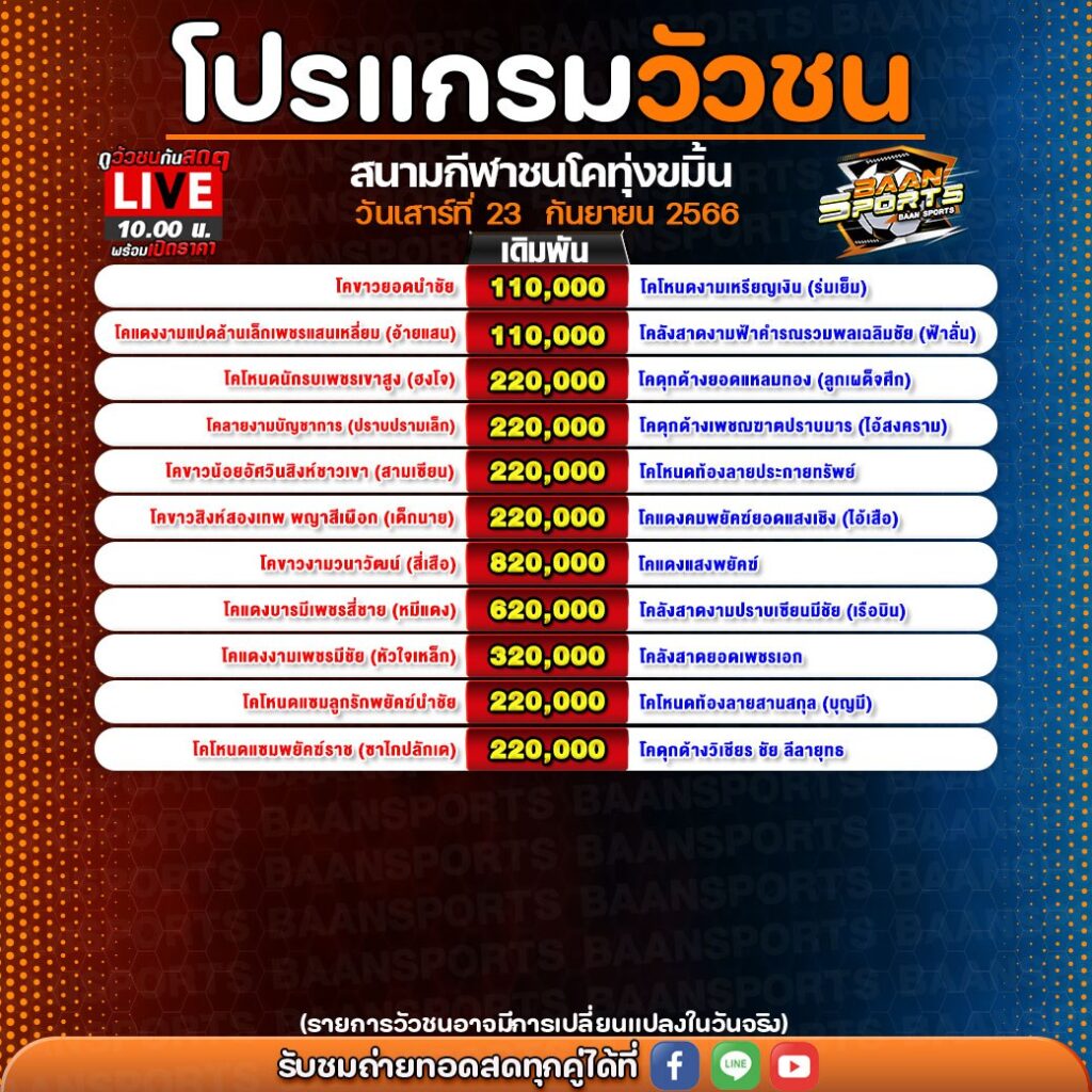 โปรแกรมวัวชน