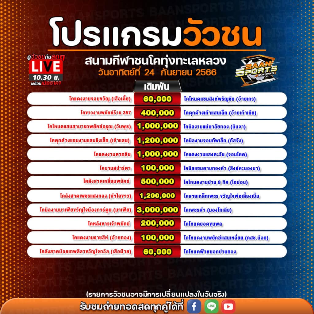 โปรแกรมวัวชน