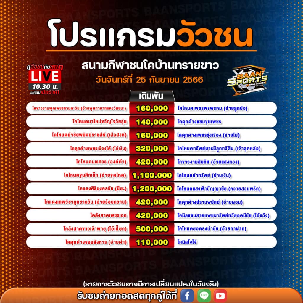 โปรแกรมวัวชน