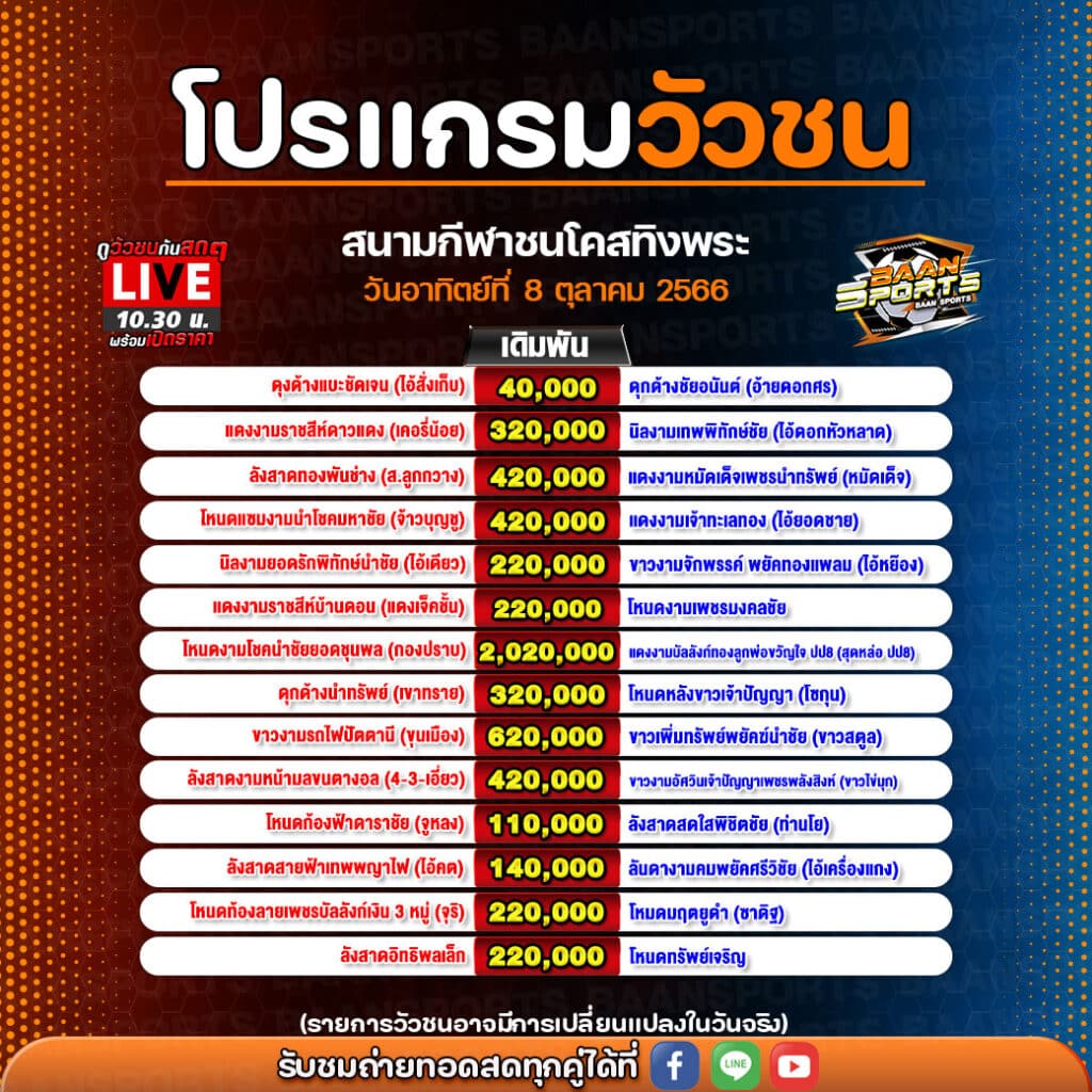 โปรแกรมวัวชน