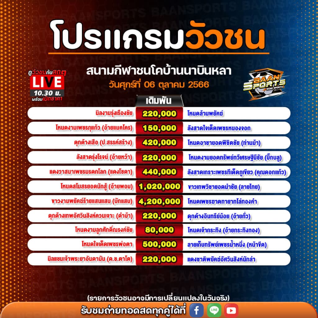 โปรแกรมวัวชน